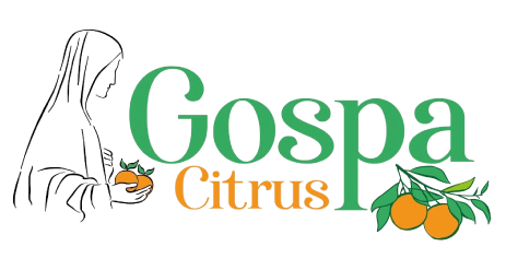 Gospa Citrus