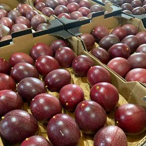 fruta pasion gospacitrus2