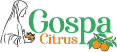 Gospa Citrus